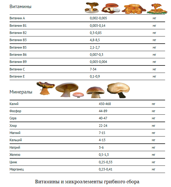 Витамины и микроэлементы грибного сбора